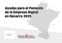 ayudasparaelfomentodelaempresadigitalennavarra2025