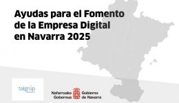 ayudasparaelfomentodelaempresadigitalennavarra2025